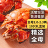 【活蟹】湖鮮陽(yáng)澄大閘蟹公3.5-3.8兩 母2.5-2.8兩3對6只年貨送禮鮮活螃蟹禮盒源頭直發(fā) 曬單實(shí)拍圖