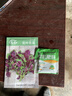 壽禾莧菜種子漢菜蔬菜四季菜籽陽(yáng)臺葉菜類(lèi)種籽春夏播種青菜種植種子 濰豐花葉莧菜種子12g 曬單實(shí)拍圖
