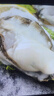 鮮活乳山生蠔新鮮牡蠣海蠣子5斤箱 6XL蠔王（12-18只每箱）凈重10斤生蠔 曬單實(shí)拍圖