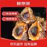 鮮京采 鮮活海螺 凈重1斤 5-7只/斤 鮮活到家 生鮮海鮮 源頭直發(fā) 曬單實(shí)拍圖