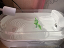 最萌烏龜缸家用造景創(chuàng  )意新款亞克力帶曬臺生態(tài)小型龜盆魚(yú)缸烏龜飼養缸 大號【49.5*26*15】套餐二 曬單實(shí)拍圖