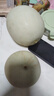 黃六爺新鮮頭茬冰淇淋玉菇甜瓜大果9當季新鮮水果斤整箱香瓜羊角脆蜜瓜 5斤【精品大果】2-4顆~新鮮超甜 曬單實(shí)拍圖