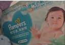幫寶適超薄透氣清新幫紙尿褲新生兒嬰兒尿不濕尿片透氧Pro mini NB46 曬單實(shí)拍圖