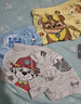 汪汪隊立大功（PAW PATROL）兒童內褲男寶寶短褲小孩棉質(zhì)四角平角褲4條裝PA089 100 曬單實(shí)拍圖