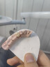 全瓷牙冠威蘭德二氧化鋯愛(ài)爾創(chuàng  )澤康3m拉瓦全瓷牙根管治療鑲牙補牙義齒假牙齒貼面片全瓷牙套二氧化鋯烤瓷牙 威蘭德全瓷牙 曬單實(shí)拍圖
