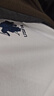 U.S. POLO ASSN.衛衣男秋冬保羅男士高端休閑圓領(lǐng)打底衫運動(dòng)長(cháng)袖t恤男 白色 2XL 曬單實(shí)拍圖