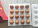 德青源PLUS聯(lián)名款A+級鮮雞蛋32枚2.74斤無(wú)抗生素 源頭直發(fā) 1件包郵 曬單實(shí)拍圖