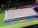 ROG魔導士Ace HFX 電競磁軸鍵盤(pán) 游戲機械鍵盤(pán) 無(wú)畏契約 8K回報率 小蜜蜂戰隊同款 魔導士ACE 75HE PBT月耀白【26年新品】 曬單實(shí)拍圖