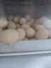 九華糧品散養土雞蛋40枚 凈重3斤  鮮雞蛋 林區散養 京東自營(yíng) 曬單實(shí)拍圖