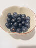 蒲戀京榜藍莓云南L25花香藍莓水果孕婦新鮮現摘高山應季熱帶時(shí)令鮮果 4盒【單果16mm+】125g/盒(凈100g)* 曬單實(shí)拍圖