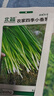 北蔬 四季小香蔥種子小蔥苗種苗家種盆栽菜種籽 四季小香蔥種子1000粒 曬單實(shí)拍圖