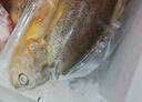鮮京采冷凍三去黃花魚(yú)(寧德大黃魚(yú))1700g(5條裝)禮盒 曬單實(shí)拍圖
