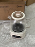 美的全玻璃養生壺 辦公室燒水壺 家用多功能煮茶壺 花茶煮茶器 迷你小型電熱水壺 圍爐煮茶壺 【全玻璃】0金屬0膠水0涂層 1L 曬單實(shí)拍圖