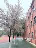 歐迪芬（Ordifen）半高領修身針織打底衫女一體絨內搭洋氣秋冬加絨加厚毛衣保暖上衣 曬單實拍圖