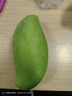 庾豐 越南應季新鮮芒果 整箱當季現摘孕婦熱帶水果大青 皮玉芒 5斤裝【單果約200g+】?jì)艄?.5斤 曬單實(shí)拍圖