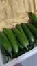 京鮮生 山東精品嫩水果黃瓜 凈重4斤 單根70g+ 荷蘭小青瓜 源頭直發(fā) 曬單實(shí)拍圖