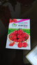 圣女果種子櫻桃番茄小西紅柿陽(yáng)臺盆栽四季種蔬菜番茄種子大全 櫻桃番茄種子【1包 約50?！?曬單實(shí)拍圖
