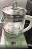 半球（PESKOE）養生壺燒水壺熱水壺恒溫壺煮茶壺泡茶壺一體玻璃全自動(dòng)小家用多功能辦公室大容量1.8L綠色 青蘋(píng)果綠 1.8L 半球養生壺 曬單實(shí)拍圖