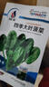 【虧本沖量】四季大葉菠菜種子秋冬耐寒耐抽薹四季蔬菜種子大全 四季大葉菠菜（1包約900粒） 曬單實(shí)拍圖