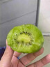 甜萌果蔬徐香獼猴桃【現摘/多地極速達】陜西水果綠心整箱批發(fā)當季翡翠果 15枚【尊享果】強烈推 60-70g左右* 曬單實(shí)拍圖