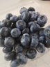 蒲戀京榜藍莓云南L25花香藍莓水果孕婦新鮮現摘高山應季熱帶時(shí)令鮮果 4盒【單果16mm+】125g/盒(凈100g)* 曬單實(shí)拍圖