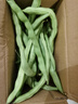 新鮮現摘四季豆角農家蔬菜九月青油豆角整箱蔬菜生鮮源頭直發(fā) 云南四季豆新鮮現摘【凈重1斤】 曬單實(shí)拍圖