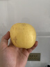形果奶油蘋(píng)果冰糖心爆甜牛奶蘋(píng)果黃金奶油富士蘋(píng)果現摘現發(fā)新鮮好水果 精品大果5斤 曬單實(shí)拍圖