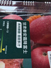 產(chǎn)地直采 甘肅秦安霜降富士蘋(píng)果4粒 約900g 曬單實(shí)拍圖