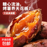 正宗精品沙地煙薯25號空氣炸鍋烤地瓜流油蜜薯秋冬烤薯煮粥必備 精品中大果（3兩-8兩） 9斤凈重 曬單實(shí)拍圖