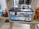 獨寵你魚(yú)缸小型客廳過(guò)濾制氧一體缸桌面生態(tài)家用烏龜飼養箱黑色特大號 曬單實(shí)拍圖