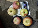 正宗山東紅富士蘋(píng)果丑蘋(píng)果新鮮水果當季脆甜冰糖心蘋(píng)果嘎啦果 帶箱2斤凈重1.6斤55mm+ 曬單實(shí)拍圖
