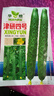播種心情老品種黃瓜種子黑油量綠芯心綠肉刺四號長(cháng)大陽(yáng)臺盆栽水果蔬菜種子 四號黃瓜種子1包 曬單實(shí)拍圖