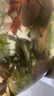 寵小俠七彩鳑鲏?mèng)~(yú)觀(guān)賞魚(yú)旁皮冷水魚(yú)活體小型魚(yú)苗原生群游魚(yú)除藻淡水好養 3-4cm10條8送2條備損 曬單實(shí)拍圖
