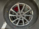 普利司通（Bridgestone）汽車(chē)輪胎 225/65R17 102V ALENZA 001 原配雪佛蘭探界者 曬單實(shí)拍圖