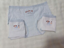貓人兒童內褲女童純棉抑菌襠女孩發(fā)育期中大童學(xué)生三角短褲2026年新款 條紋狗+本白狗+菱格狗+淡藍狗 4條 【10A抑菌 柔軟透氣】 160 (M) （建議體重80-100斤） 曬單實(shí)拍圖