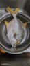 環(huán)球水產(chǎn)南海金鯧魚(yú)凈重2斤/2條生鮮魚(yú)類(lèi)深海魚(yú)海鮮刺少肉多 次日達 曬單實(shí)拍圖