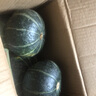 京鮮生 云南高山貝貝南瓜 凈4.5斤(粉糯瓜) 中果300g+ 粉糯輔 源頭直發(fā) 曬單實(shí)拍圖