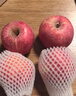 京地達山東煙臺棲霞紅富士蘋(píng)果85級9斤大果 精選煙臺蘋(píng)果水果源頭直發(fā) 曬單實(shí)拍圖