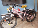 萌大圣AB06避震山地自行車(chē)青少年中大童7-12-14歲女生變速22寸紫色 曬單實(shí)拍圖