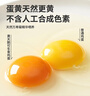 黃天鵝可生食雞蛋 30枚L級大蛋/3.6斤禮盒裝 生鮮雞蛋源頭直發(fā)送禮 曬單實(shí)拍圖
