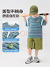 左西童裝男童短袖t恤兒童條紋夏季2025新款男孩大童半袖上衣洋氣 彩條 150 建議身高150cm左右 曬單實(shí)拍圖