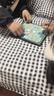 得力（deli）磁吸斗獸棋折疊兒童學(xué)生益智桌游早教游戲棋學(xué)習啟蒙禮物 曬單實(shí)拍圖