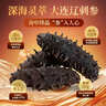 張奶奶大連即食海參400g12-18頭袋裝囤貨高品質(zhì)海鮮無(wú)污染 家庭裝 曬單實(shí)拍圖