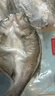 鮮京采三去海鱸魚(yú)3斤/3條 生鮮魚(yú)類(lèi) 白蕉鱸魚(yú)地標 年貨家宴魚(yú)類(lèi)源頭直發(fā) 曬單實(shí)拍圖
