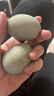 【初產(chǎn)蛋營(yíng)養高】新鮮無(wú)鉛皮蛋松花蛋咸鴨蛋零食特產(chǎn)美食年貨禮品 5枚裝（50-60）松花蛋 曬單實(shí)拍圖