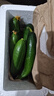 壽光水果黃瓜小黃瓜生吃脆嫩清甜涼拌蘸醬乳瓜農家自種現摘現發(fā) 壽光水果黃瓜帶箱 1斤 凈重0.8斤 曬單實(shí)拍圖