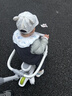 babycare兒童滑板車(chē)1-3-6歲多功能遛娃神器寶寶可坐滑滑車(chē)周歲禮物 辛德白 曬單實(shí)拍圖