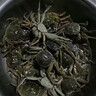 胖東來(lái)同款鮮活大閘蟹母蟹全母小螃蟹15克起稻田蟹毛蟹河蟹老頭蟹 全母蟹五元蟹13只+送2只【滿(mǎn)黃】 多送抵損/贈送只數內不賠付 曬單實(shí)拍圖