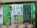 金百粟 陜西徐香獼猴桃禮盒 綠心奇異果大果  新鮮水果生鮮 徐香中果30枚裝【單果70-90g】 曬單實(shí)拍圖