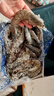 東上御品蝦 青島大蝦基圍蝦鮮活青蝦白蝦海蝦對蝦冰蝦凍蝦生鮮 蝦類(lèi) 海鮮 3斤(凈重)  氣凍大蝦【活蝦速凍】 17-21cm【特大蝦皇】 曬單實(shí)拍圖
